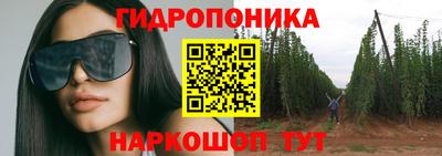 гашик Пыть-Ях