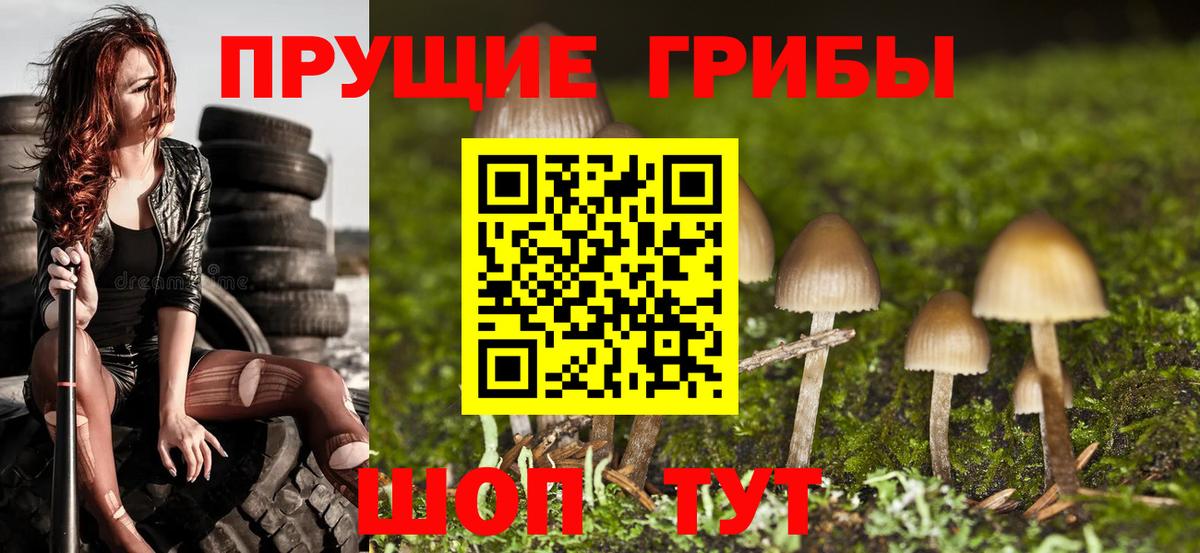 Псилоцибиновые грибы Cubensis  Вход с VPN  Юрга 