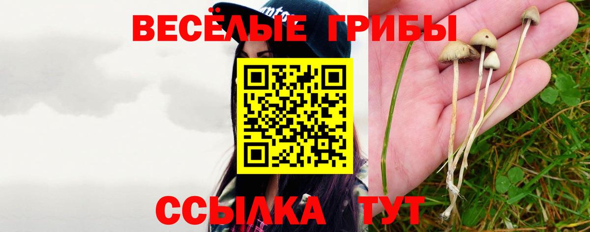 Галлюциногенные грибы мицелий Юрга
